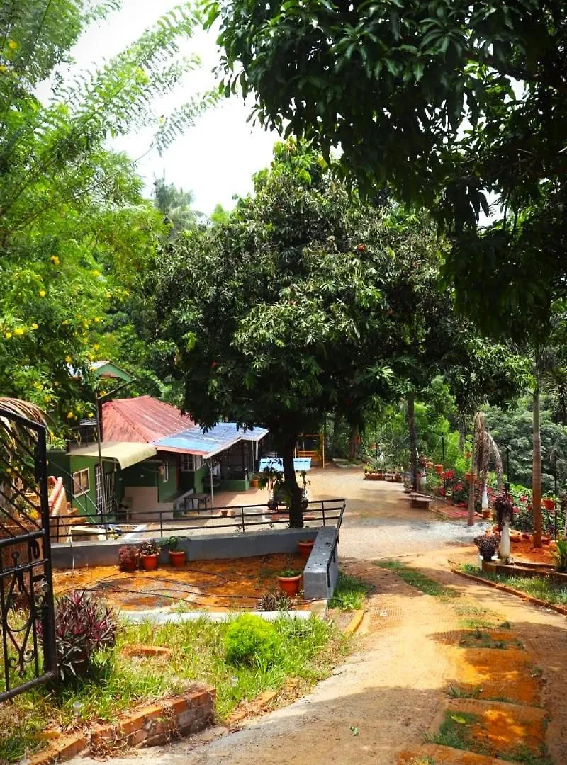 Le3Hvalleys Homestay Paithalmala